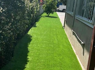 Jason T.'s grass maintenance service result