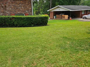 Chancy W.'s turf maintenance service result