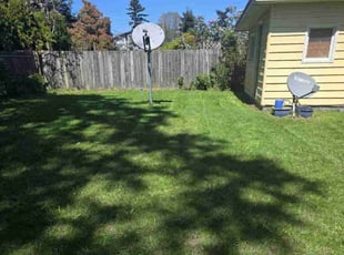 Gonzalo A.'s lawn maintenance service result