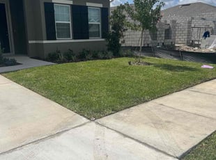 Stephen C.'s lawn maintenance service result