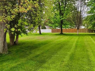 Jill B.'s grass cutting service result