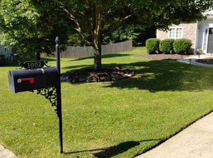 Simon R.'s lawn care service result