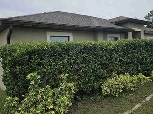 Toni W.'s Bush Trimming service result