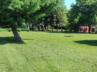 Erick B.'s grass maintenance service result