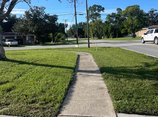 Terry H.'s turf maintenance service result