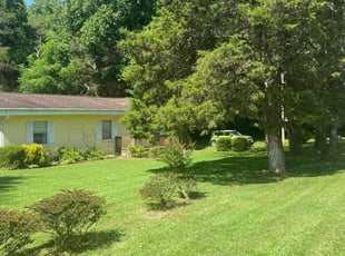 Camesha M.'s lawn care service result