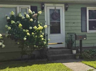 Mr B.'s turf care service result