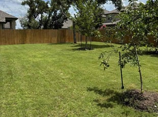 Rob C.'s grass maintenance service result