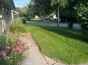Leah B.'s turf care service result
