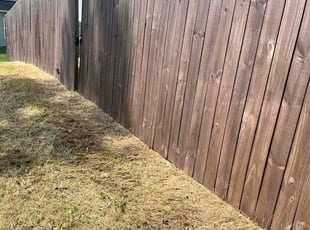 Shebeer T.'s lawn care services service result