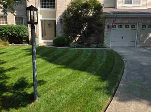 Glenn T.'s turf care service result