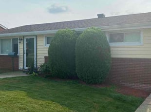 Fern C.'s Bush Trimming service result