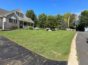 Megan C.'s grass cutting service result