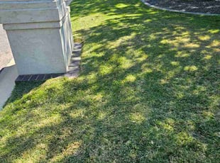 Katherine P.'s lawn maintenance service result