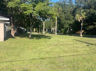 Michael T.'s grass maintenance service result