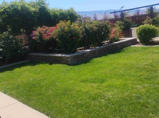 Takewa B.'s lawn care services service result