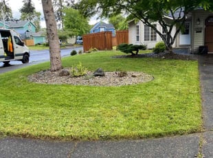 Gabriel S.'s grass maintenance service result