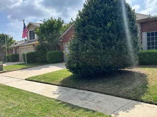 Tammie B.'s lawn service service result