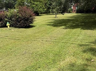 Ronald F.'s lawn maintenance service result