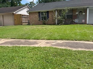 Calla T.'s turf care service result