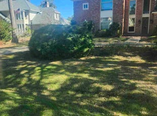 Barbara B.'s grass cutting service result