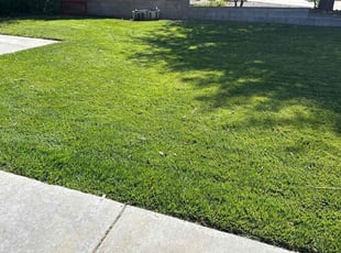 Pamela S.'s grass maintenance service result