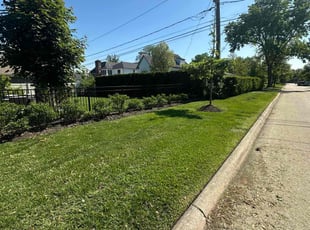 Dulcie S.'s lawn maintenance service result