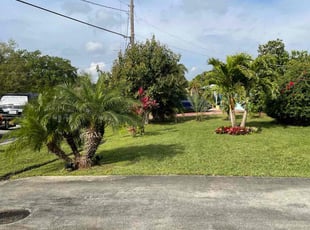 Ebony R.'s lawn care service result