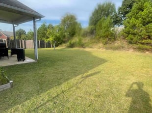 Mackie M.'s lawn service service result