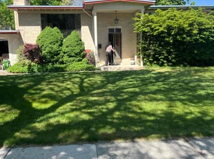 Spencer B.'s grass maintenance service result
