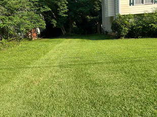 Nicholas D.'s lawn service service result