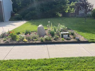 Courtney M.'s lawn care service result