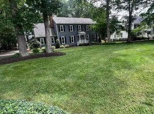 Edward M.'s yard service service result