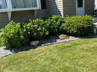 Ron T.'s lawn care service result