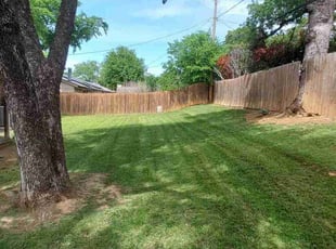 Rob J.'s grass cutting service result