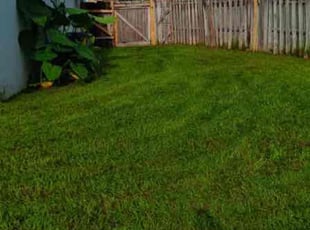 Audrey V.'s lawn service service result