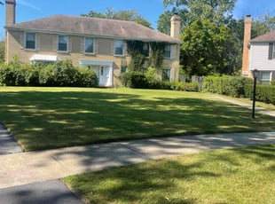 Jaime B.'s lawn care services service result