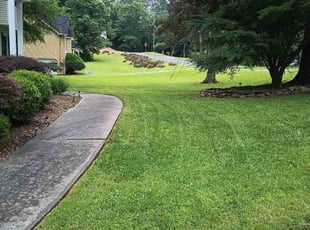 Jade E.'s lawn care service result
