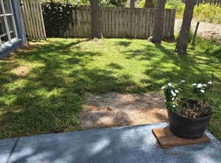Pearl C.'s turf maintenance service result