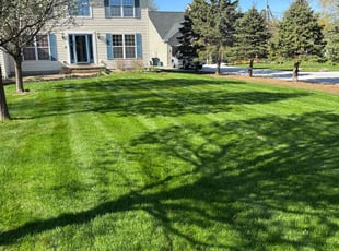 Morshida E.'s turf care service result