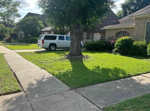 Andrew S.'s lawn service service result