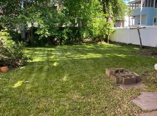 Angela M.'s turf maintenance service result