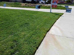 Thomas D.'s gardening service service result