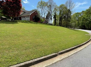 Kwame I.'s grass maintenance service result