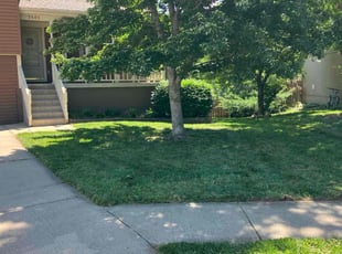 Jeremy L.'s lawn care services service result