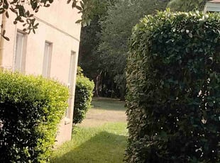 Chuck R.'s Bush Trimming service result