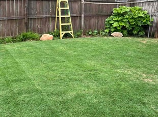 Tom M.'s turf care service result
