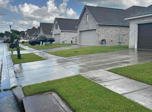 Dolores V.'s yard maintenance service result