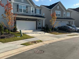 Dorothy E.'s grass cutting service result