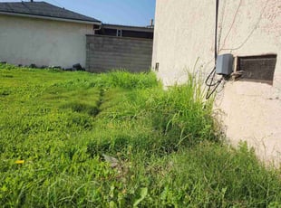 Jessica R.'s lawn care services service result
